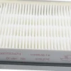 00579494 HEPA hygiënefilter voor stofzuiger - 1 stuk