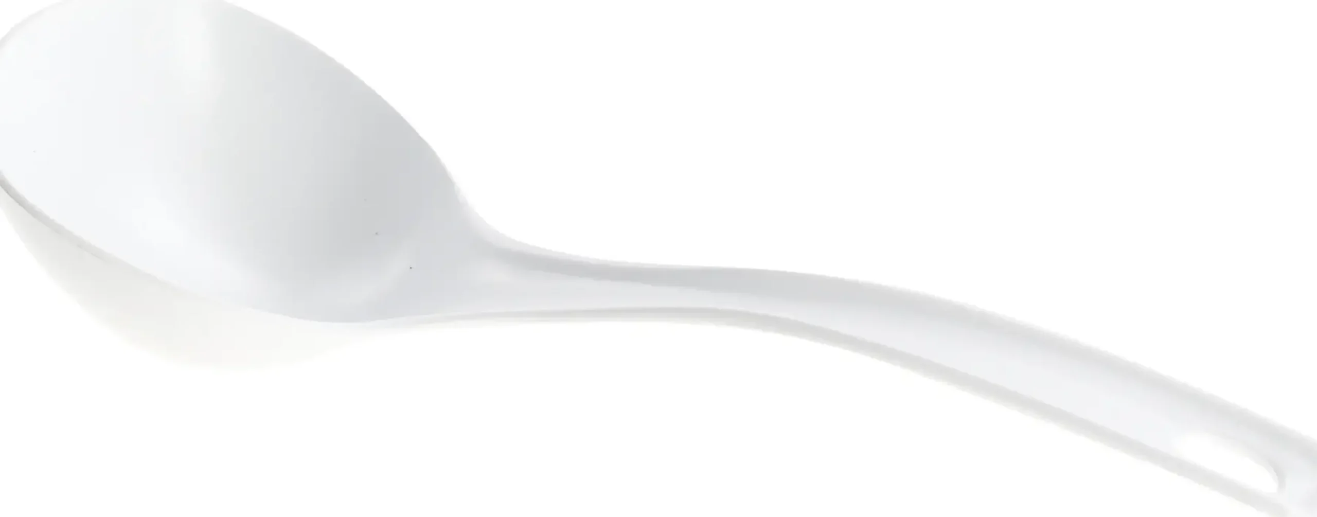 12009418 Lepel voor Multicookers