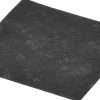 00419959 Motorbeschermingsfilter voor sledestofzuiger