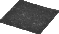 00419959 Motorbeschermingsfilter voor sledestofzuiger