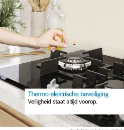 Serie 2 Gaskookplaat Inox