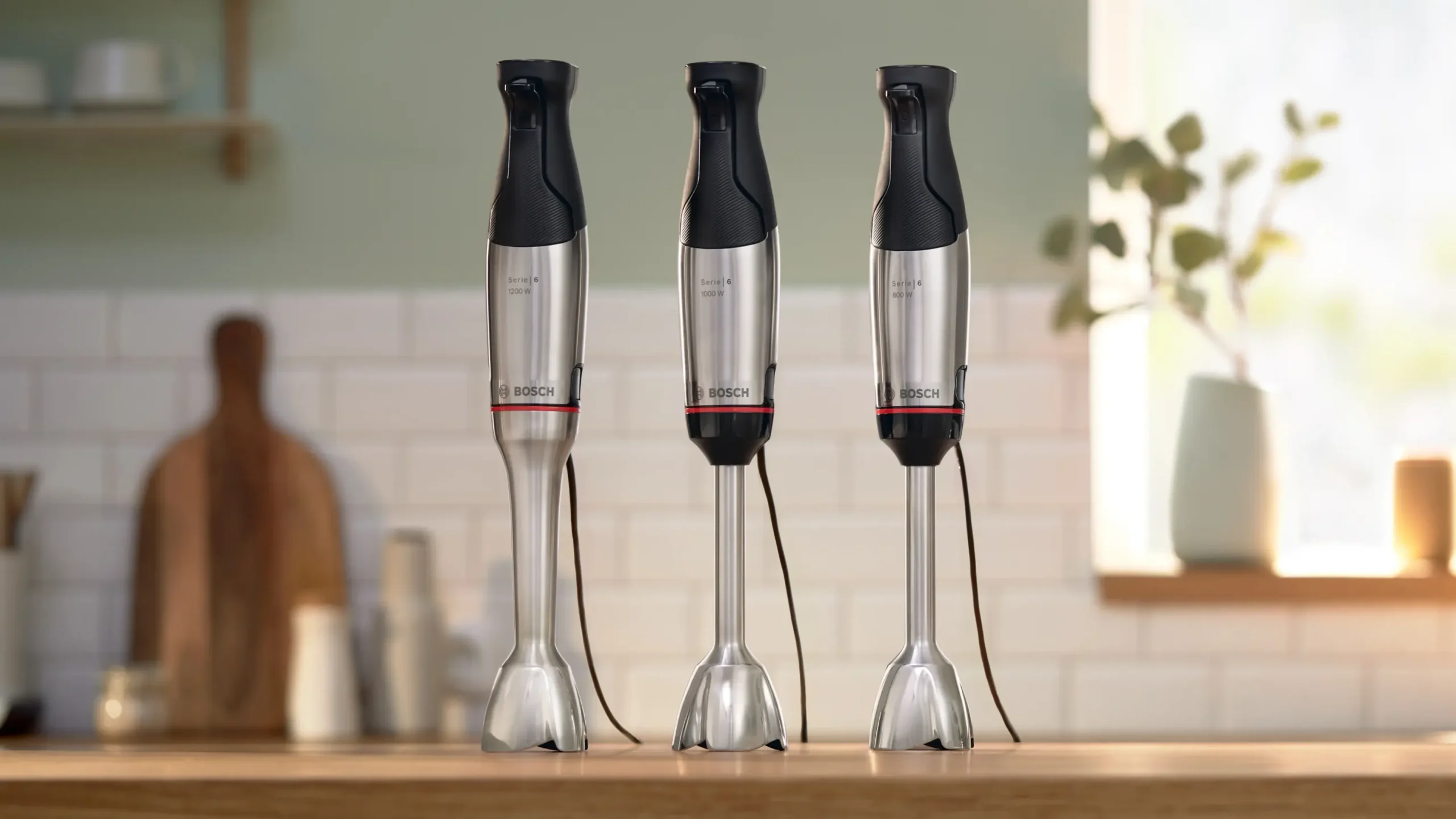 Serie 6 Staafmixer ErgoMaster 1000 W Roestvrij staal