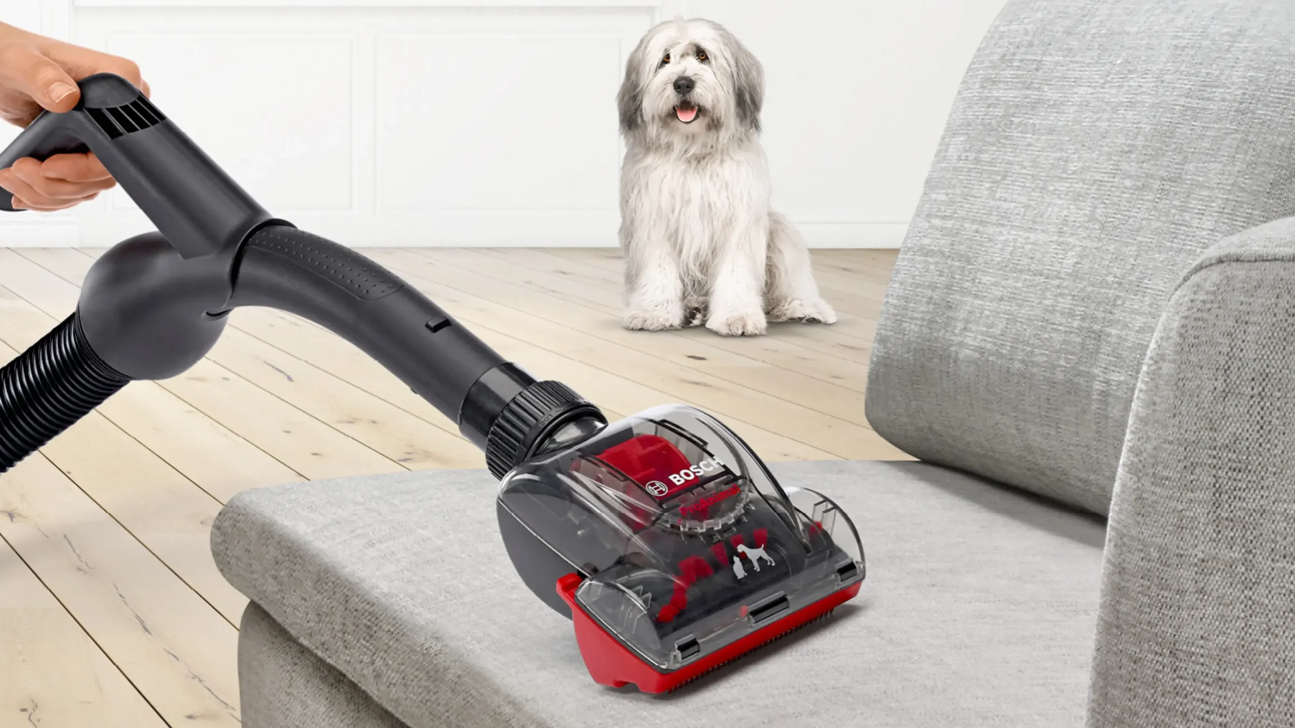 Serie 6 Stofzuiger zonder zak ProAnimal Rood